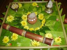 Sankranthi Celebrations in the US in Chicago,IL