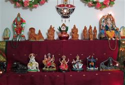 Joyful Navaratri (Continued)  in Tampa,FL