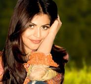 Shenaz Treasurywala : An Open Letter to PM, SRK and Bollywood Khans in New York,NY