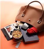 Top 6 Things Found in a Woman's Purse in Salt Lake City,UT