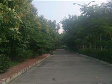 The story of how my hate for him turned into love! in New York,NY