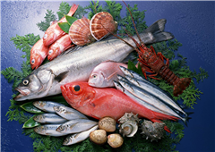 Not Used To Buying Fish? Tips On Choosing Fresh Fish in Atlanta,IL