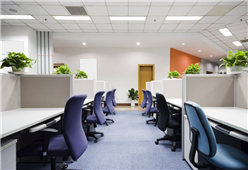 5 Important Office Etiquettes