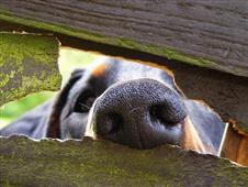 How To Handle Nosy People