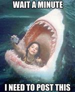 Are You Obsessed With Selfies? May Be Meglomaniac! in San Francisco,CA