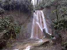 Seattle In Summer - 2 in Renton,WA