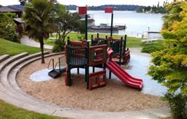 Seattle In Summer - 1 in Renton,WA