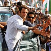 Senior Congress Leaders Quit Party: Revolt Builds Up Against Rahul in Salem,MA