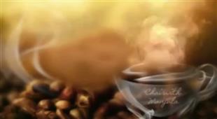 Domestic violence and abuse within the South Asian community in the U.S - Episode #2 of 2 in San Francisco,CA