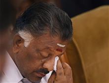 Tamil Nadu Chief Minister In Tears, While Taking Oath in New York,NY