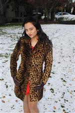 Leopard Prints in Seattle,WA