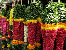 Which Events Call for Hiring the Expert Garland Decorator Services? in New York, NY
