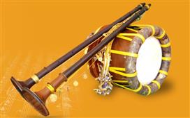 Musical Instruments for a Traditional South Indian Wedding in New York, NY