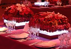 Valentine's Day Events in New Jersey - Local Pulse - Indian Articles &amp; News