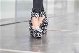 Animal Print Wedges  in Seattle,WA