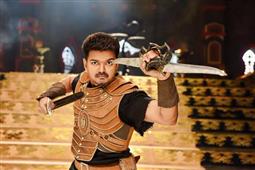 Puli Fever All Set to Create Buzz This Week! in New York,NY