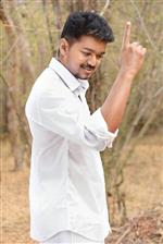Puli Steps Back And The Gates Are Opening!