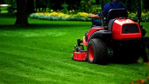 Things To Ponder Before Hiring Lawn Maintenance Services in New York, NY