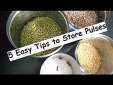 TIPS TO STORE PULSES in New York,NY
