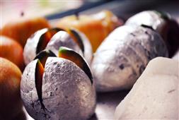 Fantastic Sweet Varieties- Fit For All Occasions in New York, NY