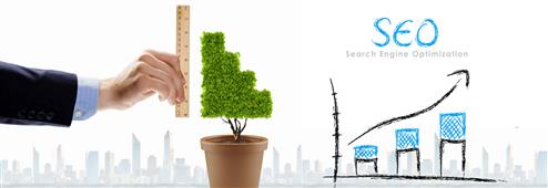 SEO Blogs