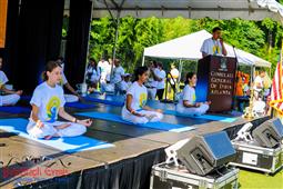 Celebrations of the Second International Day of Yoga in Atlanta in Atlanta,GA