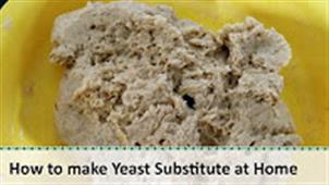 YEAST SUBSTITUTE