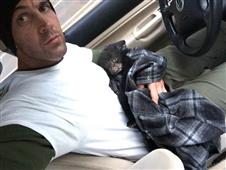 Hiker uses CPR to save bear cub, escapes jail in New York,NY