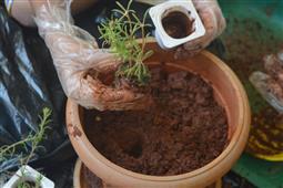 Visarjan at our home with Our Eco-friendly Ganesha – Ganesh Chaturthi