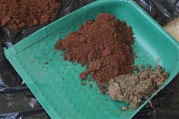 Visarjan at our home with Our Eco-friendly Ganesha – Ganesh Chaturthi