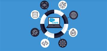 Salesforce CRM Real Time Project Blogs