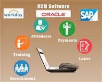 Sap HCM Blogs