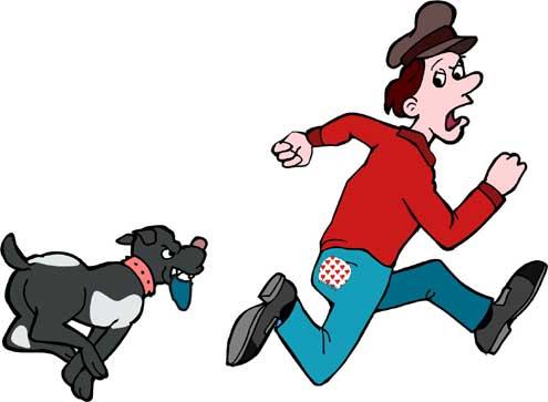 How To Train Your Dog Not To Chase People - Care Corner