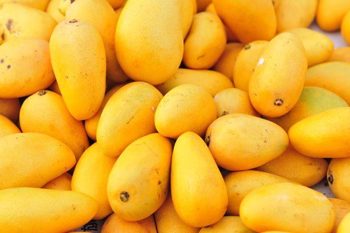 Top 5 benefits of mangoes go mango food recipes