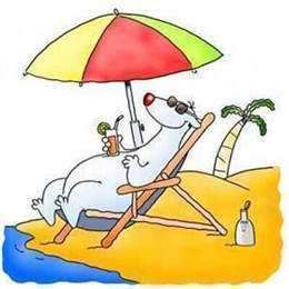 Why Travel Agents still matter ?