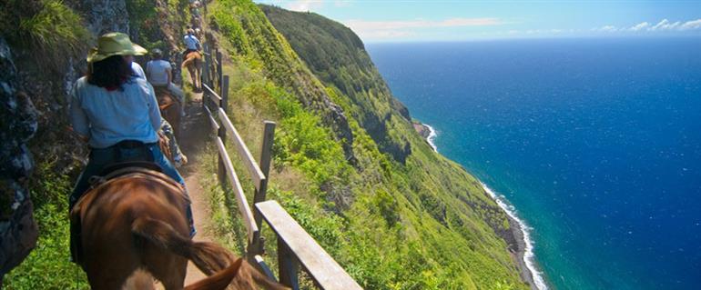 Say Hi to Adventures and Hunky Hawaii! in New York, NY