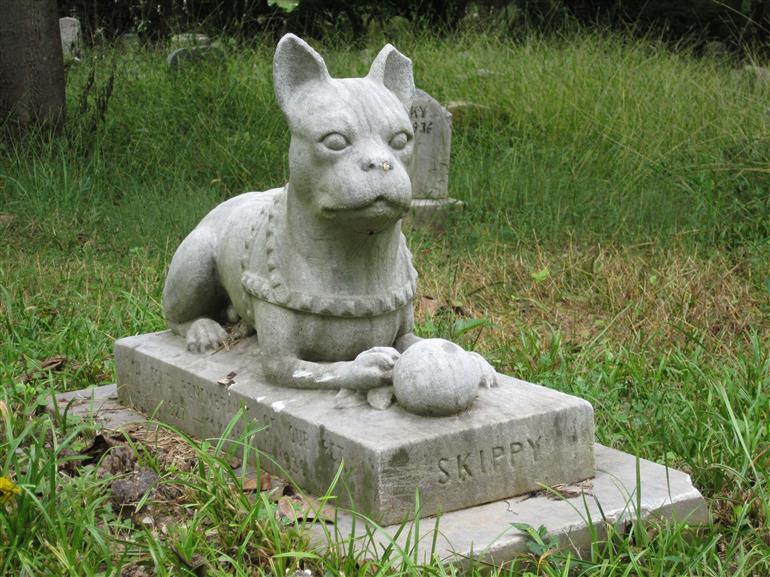 Few Ways to Perpetuate the Memory of Your Beloved Pet