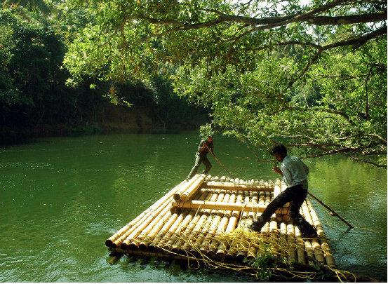 A Vagabond’s 10 tips on Mirth of ecotourism - 1 in Louisiana, LA