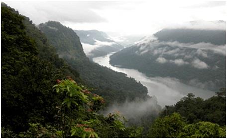 Agumbe - A tropical rain-forest in the heart of South India in New York, NY