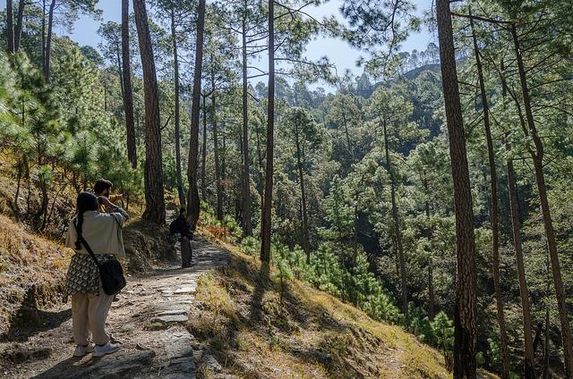 Sigri, savvy wayfarer’s traipse on Nainital in New York, NY