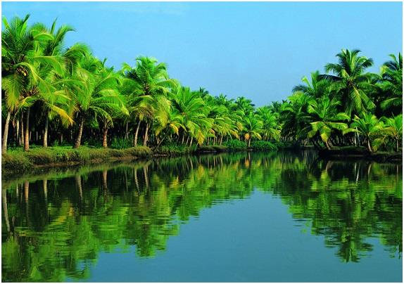 Things to do in God's own Country – Kerala in New York, NY