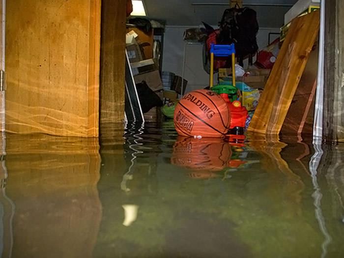 Basement Maintenance Tips and Tricks