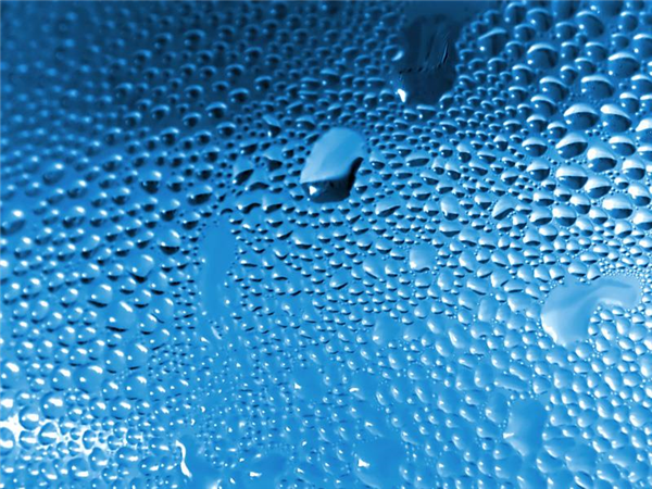 Tips to deal with condensation in your home, little killing