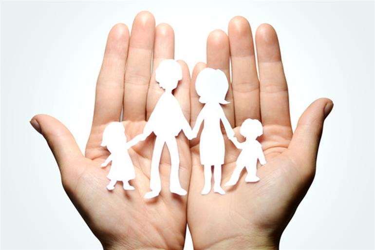 What Is The Purpose Of Family Support Services?