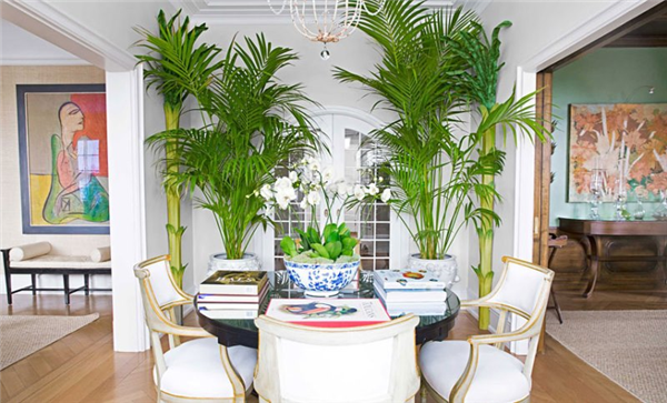 Tropical Design & Décor Ideas for Your Home