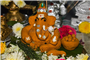 Culture - Eco-Friendly Turmeric Ganesha | Vinayagar Chaturthi Celebrations