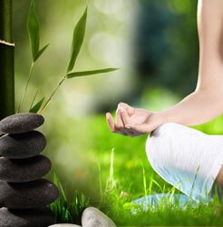 health-wellness