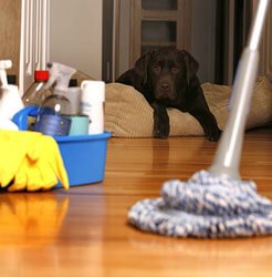 home-business-needs