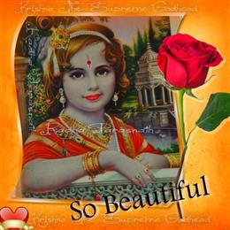 Ny Indian Classical Dance Co in Forest Hills, NY