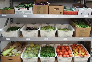 Sri Gayathri Foods in Brookfield, WI